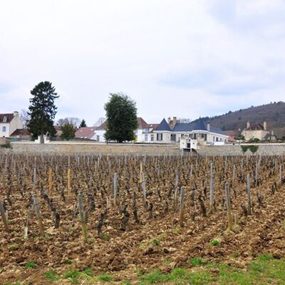Domaine des Tilleuls 05