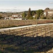 Domaine de la Biscarelle 01