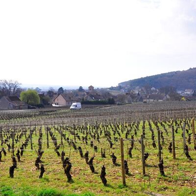 Domaine des Tilleuls 04