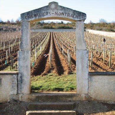 Domaine Vincent Dancer 03