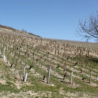 Domaine Gérard Boulay 03