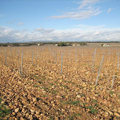 Mas de Boislauzon 03
