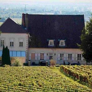 Domaine Morey-Coffinet 08