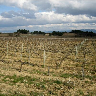 Domaine de Cristia 03