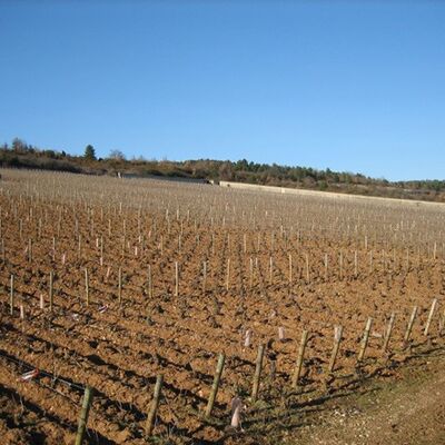 Domaine Vincent Dancer 02