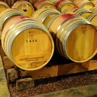 Domaine des Tilleuls 02